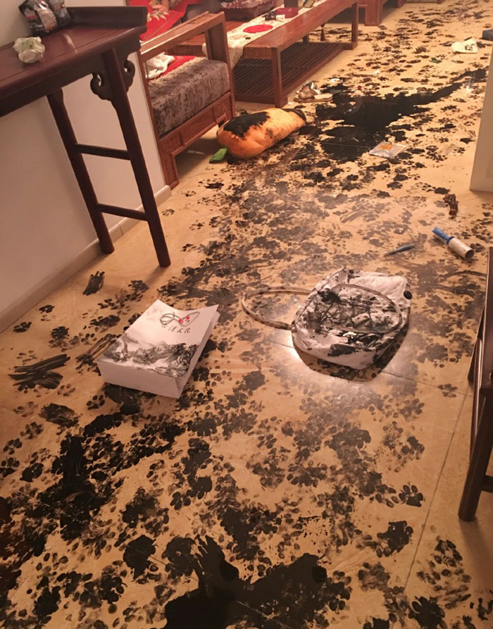 Dog makes mess