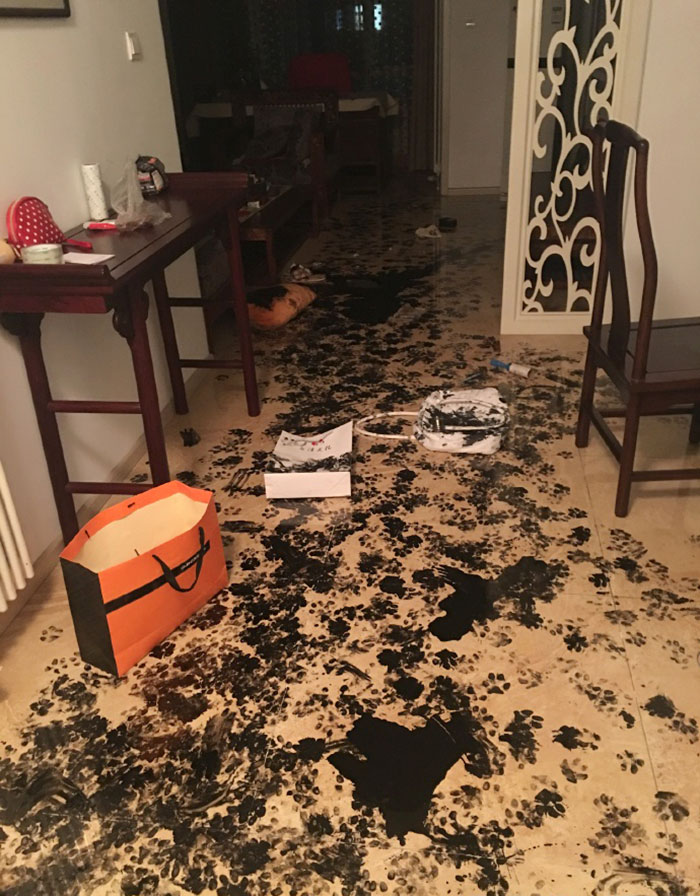 Dog makes mess